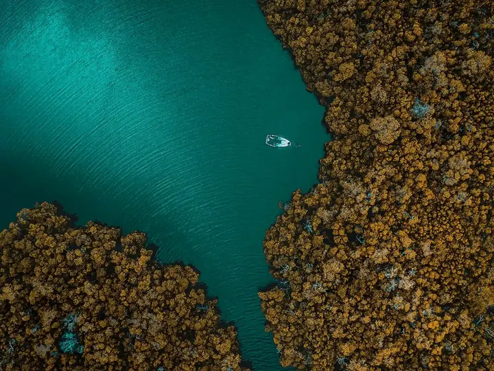 Aerial landscape