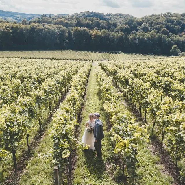 Bride and groom between rows of vines