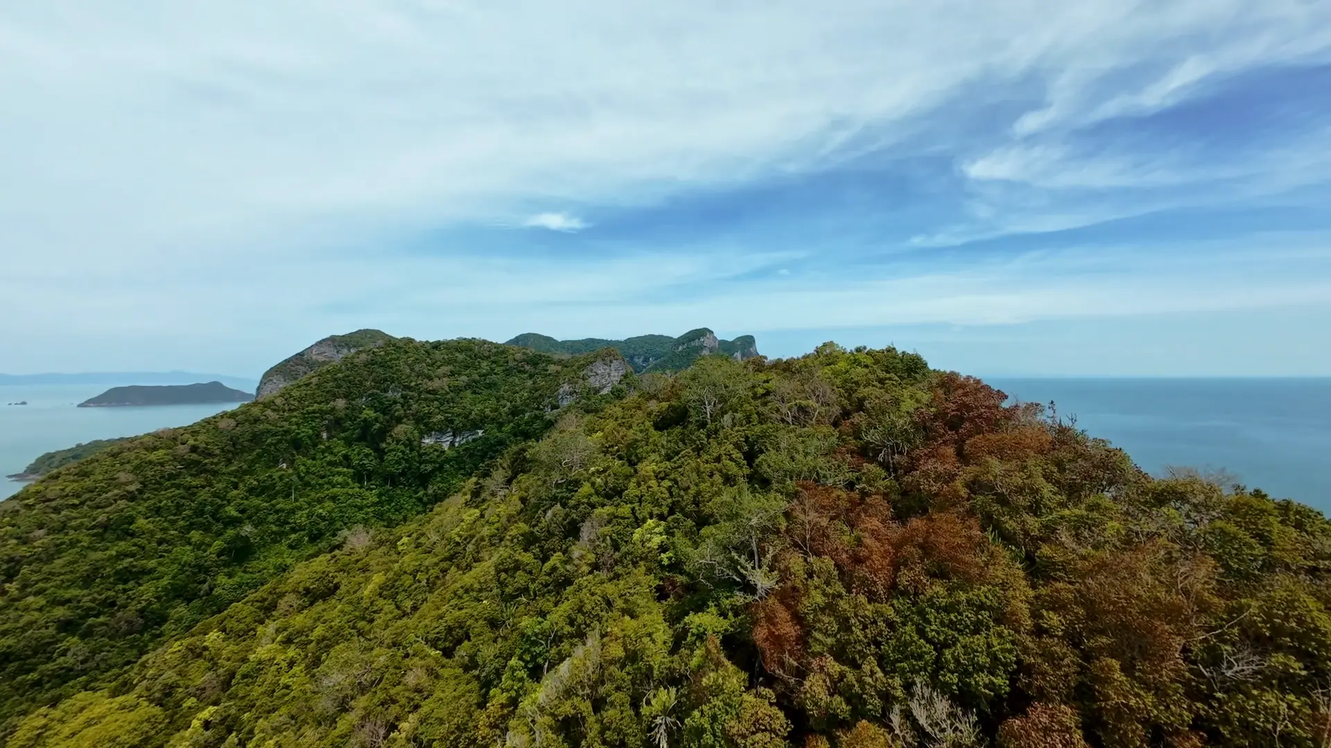 Still from the Ang Thong FPV film: forested island ridge